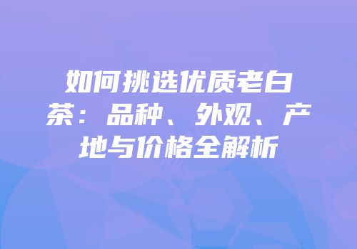 如何挑选优质老白茶：品种、外观、产地与价格全解析