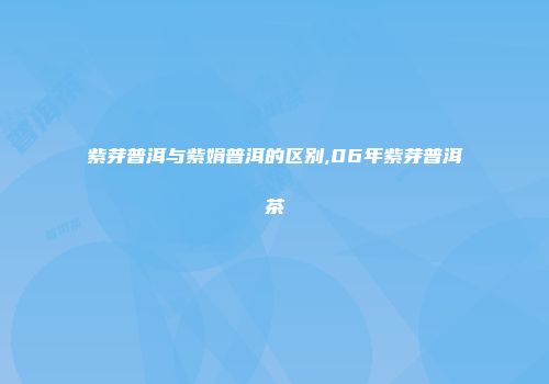 紫芽普洱与紫娟普洱的区别,06年紫芽普洱茶