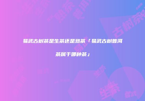 易武古树茶是生茶还是熟茶「易武古树普洱茶属于哪种茶」