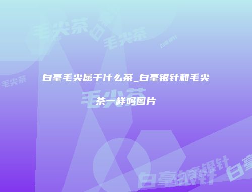 白毫毛尖属于什么茶_白毫银针和毛尖茶一样吗图片