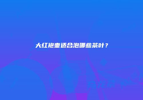 大红袍壶适合泡哪些茶叶？