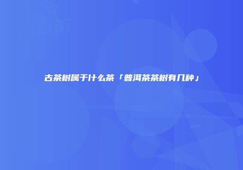 古茶树属于什么茶「普洱茶茶树有几种」