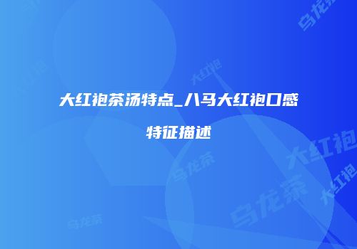 大红袍茶汤特点_八马大红袍口感特征描述