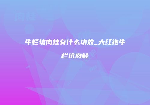 牛栏坑肉桂有什么功效_大红袍牛栏坑肉桂