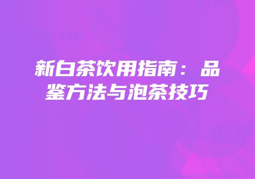 新白茶饮用指南：品鉴方法与泡茶技巧