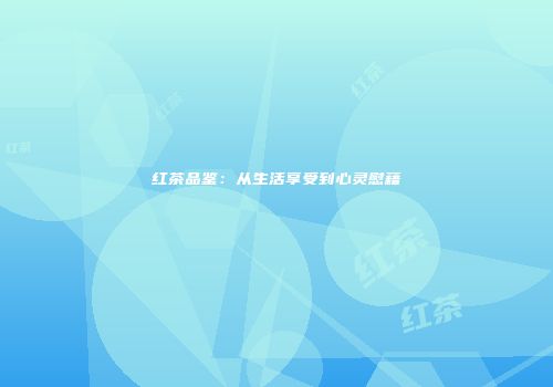 红茶品鉴：从生活享受到心灵慰藉
