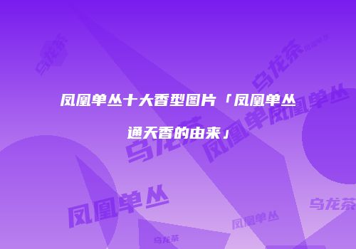 凤凰单丛十大香型图片「凤凰单丛通天香的由来」