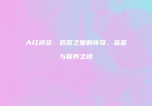 大红袍茶：岩茶之皇的传奇、品鉴与保养之道