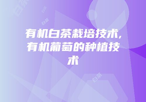 有机白茶栽培技术,有机葡萄的种植技术