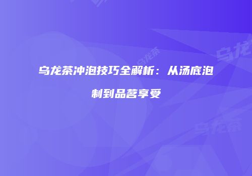 乌龙茶冲泡技巧全解析：从汤底泡制到品茗享受