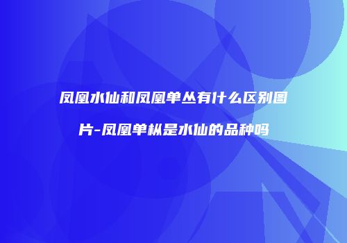 凤凰水仙和凤凰单丛有什么区别图片-凤凰单枞是水仙的品种吗