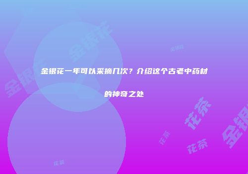 金银花一年可以采摘几次？介绍这个古老中药材的神奇之处