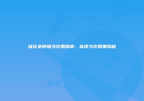 桂花茶种植与饮用指南：选择与饮用量揭秘