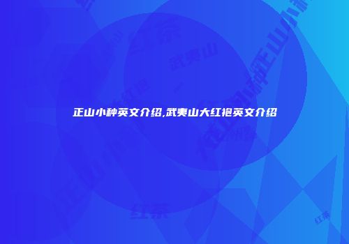 正山小种英文介绍,武夷山大红袍英文介绍