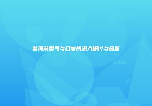 普洱茶香气与口感的深入探讨与品鉴