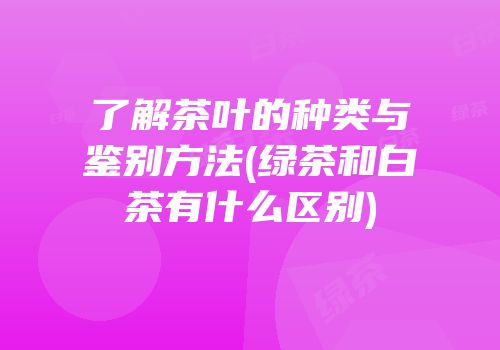 了解茶叶的种类与鉴别方法(绿茶和白茶有什么区别)