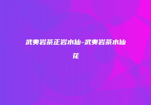 武夷岩茶正岩水仙-武夷岩茶水仙花