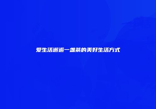 爱生活邂逅一盏茶的美好生活方式
