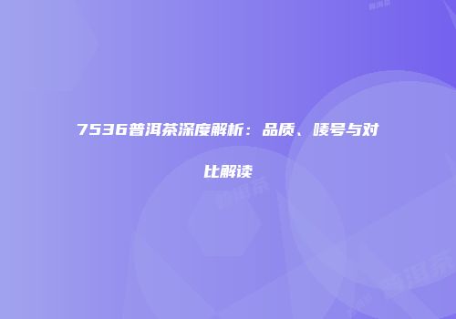 7536普洱茶深度解析：品质、唛号与对比解读