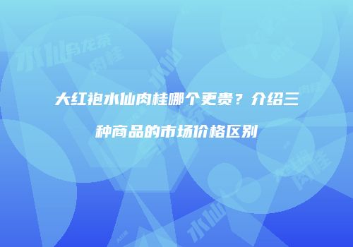 大红袍水仙肉桂哪个更贵？介绍三种商品的市场价格区别