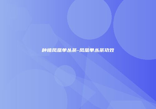 种植凤凰单丛茶-凤凰单丛茶功效