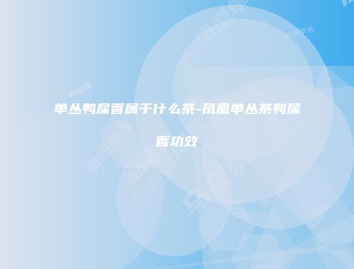 单丛鸭屎香属于什么茶-凤凰单丛茶鸭屎香功效