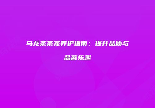 乌龙茶茶宠养护指南：提升品质与品茗乐趣