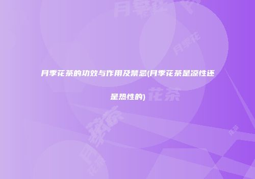 月季花茶的功效与作用及禁忌(月季花茶是凉性还是热性的)