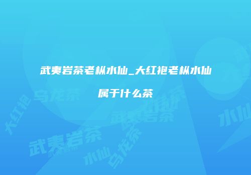 武夷岩茶老枞水仙_大红袍老枞水仙属于什么茶