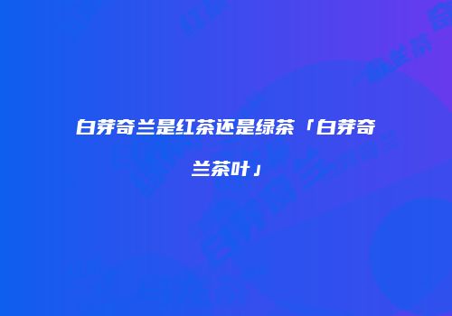白芽奇兰是红茶还是绿茶「白芽奇兰茶叶」
