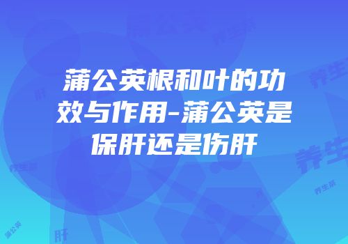 蒲公英根和叶的功效与作用-蒲公英是保肝还是伤肝