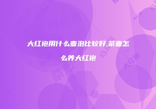 大红袍用什么壶泡比较好,茶壶怎么养大红袍