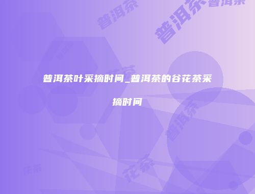 普洱茶叶采摘时间_普洱茶的谷花茶采摘时间