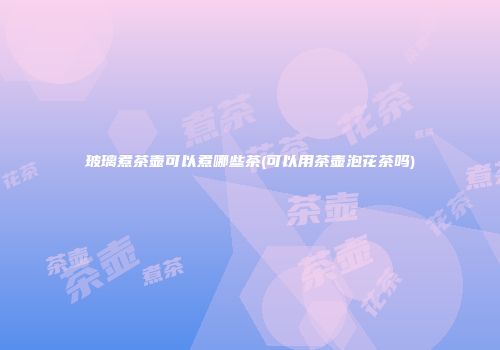 玻璃煮茶壶可以煮哪些茶(可以用茶壶泡花茶吗)