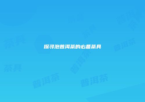 探寻泡普洱茶的必备茶具