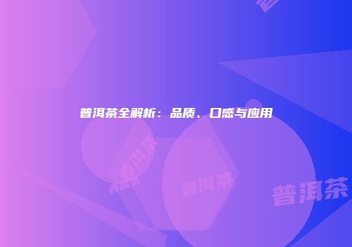 普洱茶全解析：品质、口感与应用