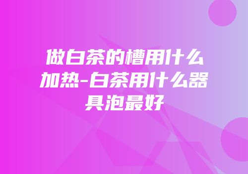 做白茶的槽用什么加热-白茶用什么器具泡最好