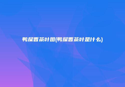 鸭屎香茶叶图(鸭屎香茶叶是什么)