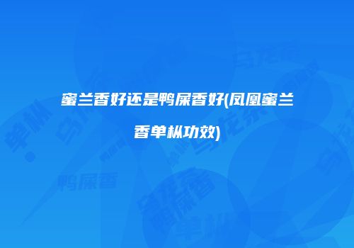 蜜兰香好还是鸭屎香好(凤凰蜜兰香单枞功效)