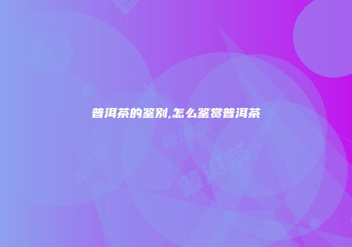 普洱茶的鉴别,怎么鉴赏普洱茶