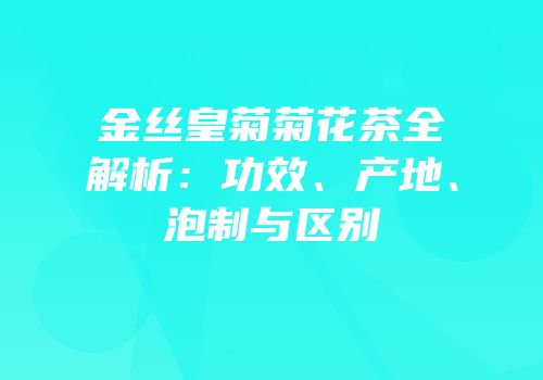 金丝皇菊菊花茶全解析：功效、产地、泡制与区别
