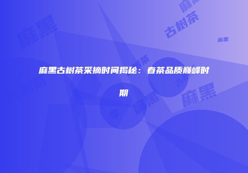 麻黑古树茶采摘时间揭秘：春茶品质巅峰时期