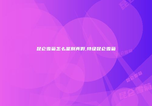 昆仑雪菊怎么鉴别真假,特级昆仑雪菊