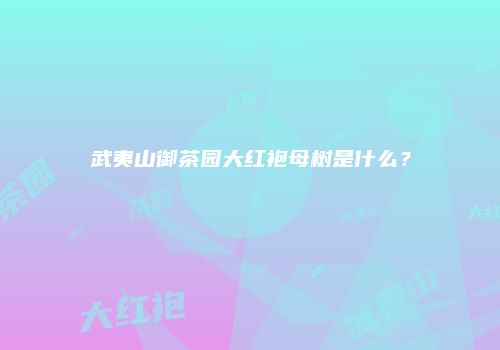 武夷山御茶园大红袍母树是什么？