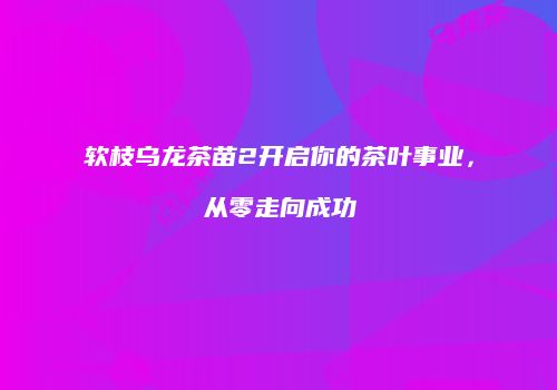 软枝乌龙茶苗2开启你的茶叶事业，从零走向成功