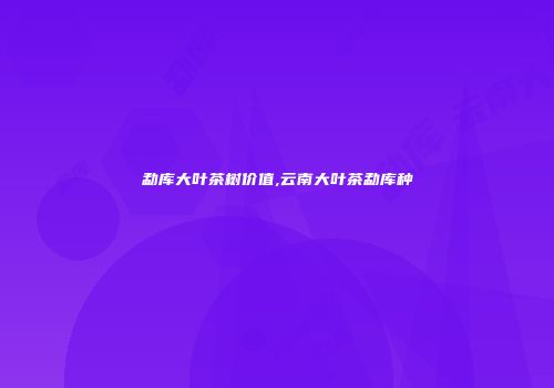 勐库大叶茶树价值,云南大叶茶勐库种