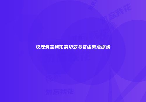 玫瑰勿忘我花茶功效与花语寓意探析