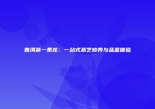 普洱茶一条龙：一站式茶艺修养与品鉴体验