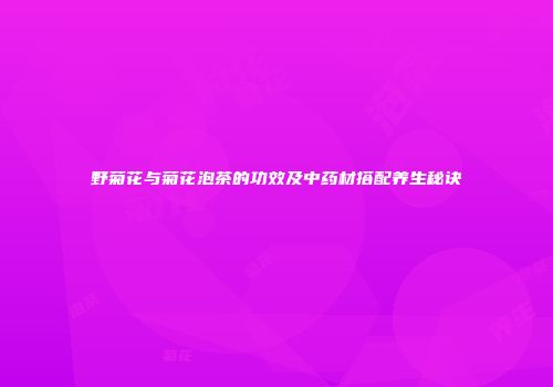 野菊花与菊花泡茶的功效及中药材搭配养生秘诀