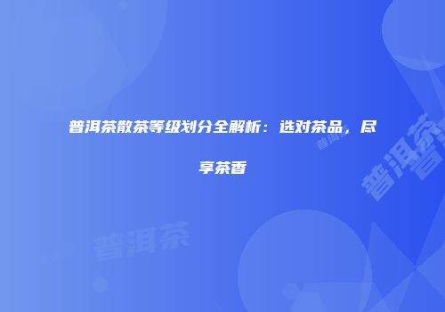 普洱茶散茶等级划分全解析：选对茶品，尽享茶香